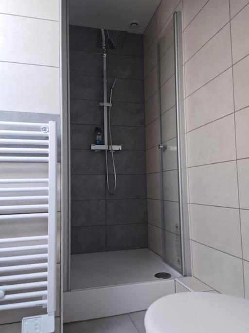 Appartement Sierentz المظهر الخارجي الصورة