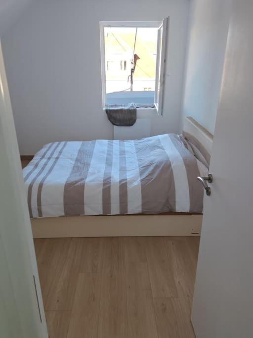 Appartement Sierentz المظهر الخارجي الصورة