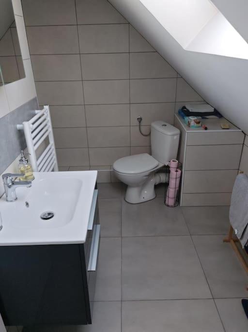 Appartement Sierentz المظهر الخارجي الصورة